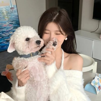 小袋鼠历险记
